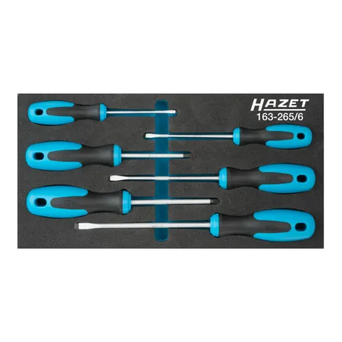 Jeu de tournevis 163-265/6 HAZET