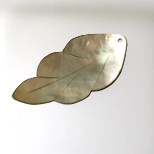 Nacre feuille 50 x 25 mm