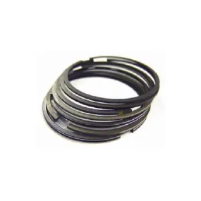 Segment TECNIUM par Woessner Ø66.50mm